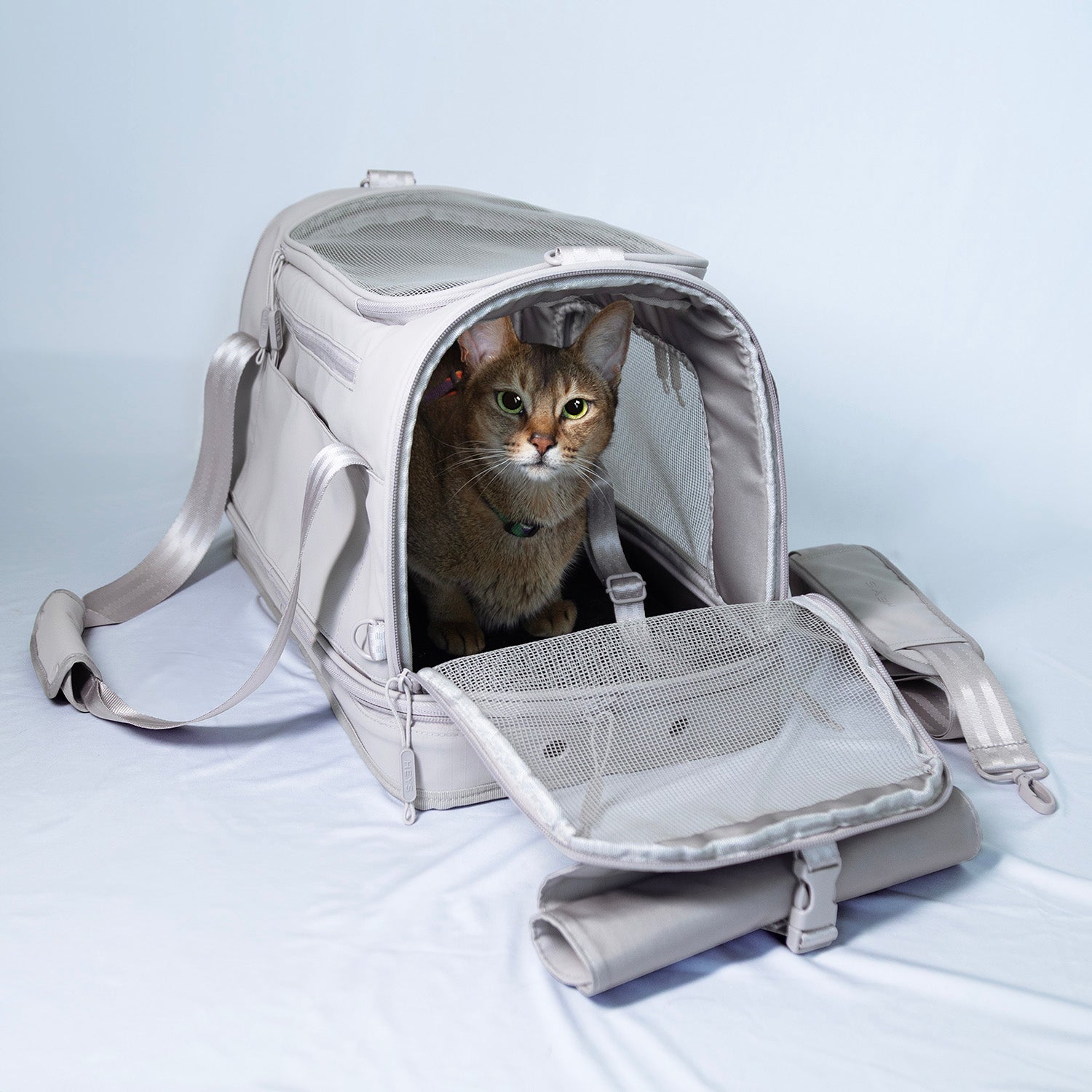 Pawsenger Pet Carrier - Blue | Airline Approved