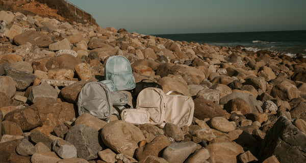 The Basic Collection