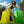 #color_Island Green