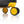 Boston Bruins