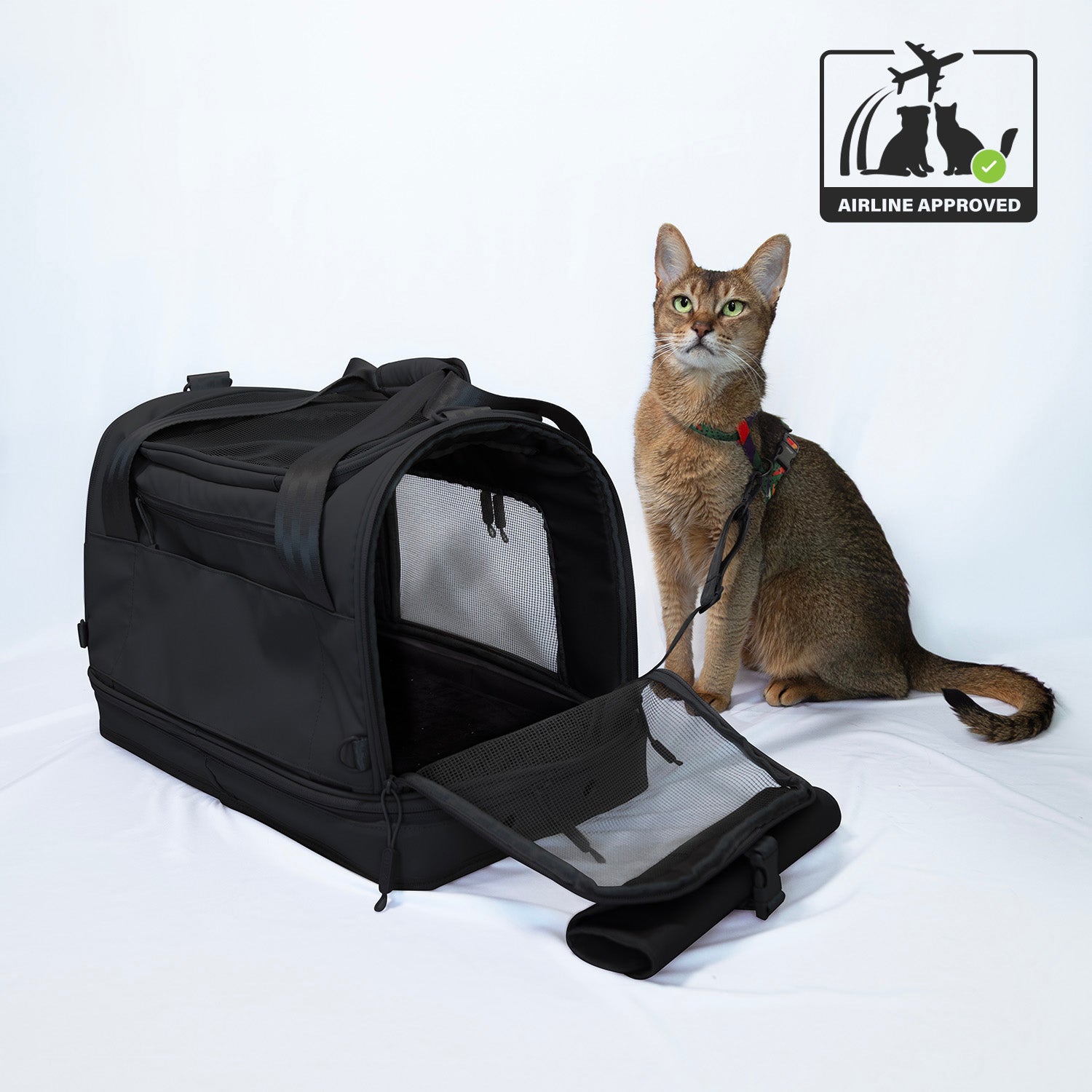 Pawsenger Pet Carrier - Black | Airline Approved - (PRE-ORDER SHIPPING MID AUGUST)