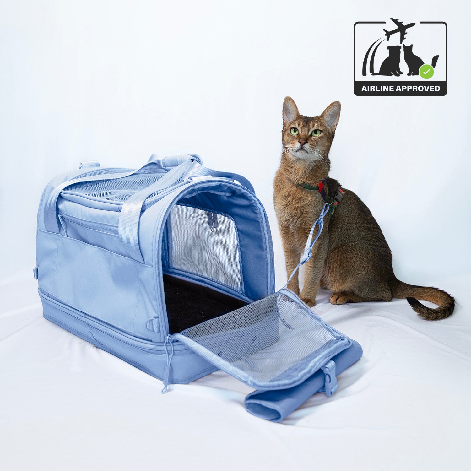Pawsenger Pet Carrier - Blue | Airline Approved - (PRE-ORDER SHIPPING MID AUGUST)