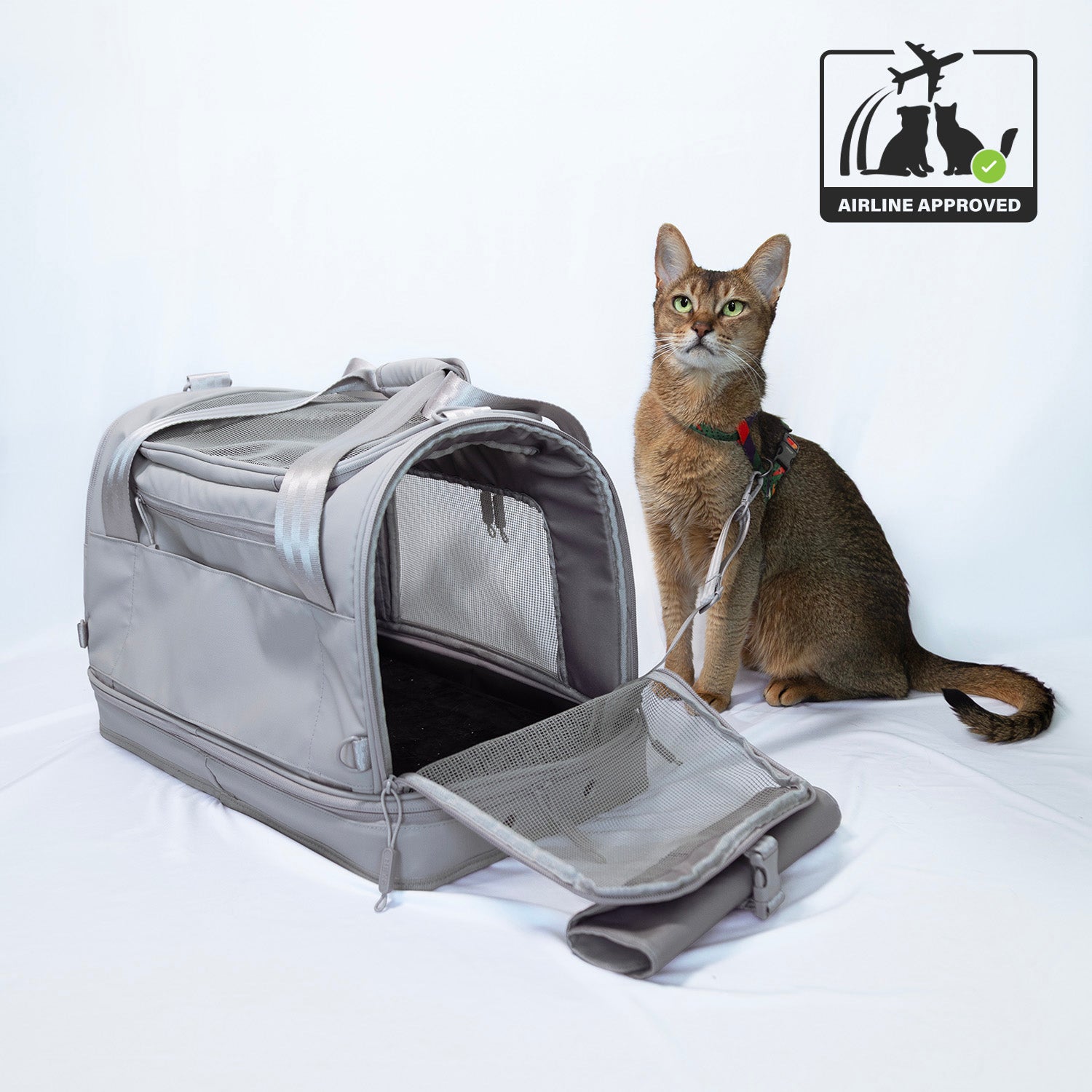 Pawsenger Pet Carrier - Atmosphere | Airline Approved - (PRE-ORDER SHIPPING MID AUGUST)
