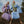 #color_Lavender