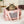 Pawsenger Pet Carrier - Black | Airline Approved