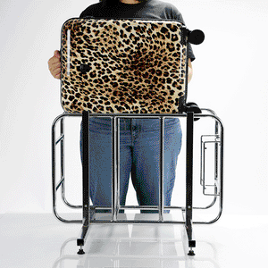 #color_Brown Leopard