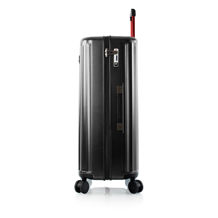Smart 30" Luggage - Airline Approved